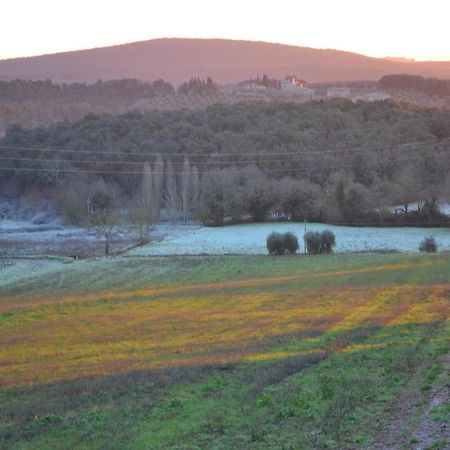 Podere Ficareto Farm Ancaiano المظهر الخارجي الصورة